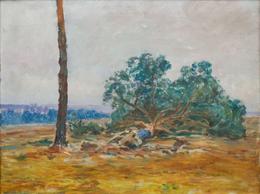 František Kaván - Po vichřici