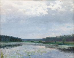 Václav Jansa - Water Lilies