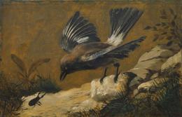 Josef Navrátil - Still Life with Jay and Stag Beetle
