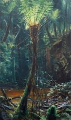 Adam Kašpar - Cyathea sp.