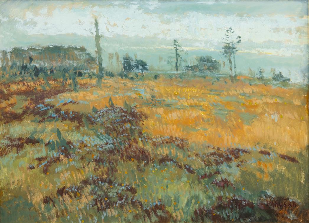 Jaroslav Panuška - Vřesoviště