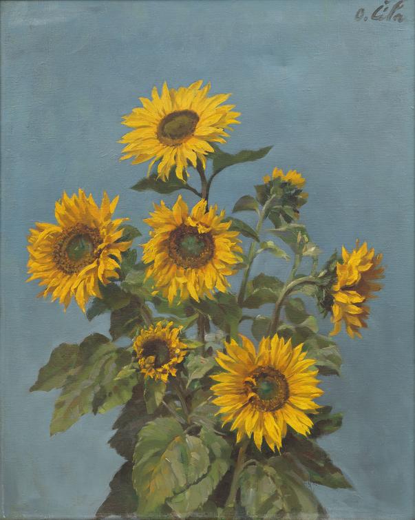 Otakar Číla - Slunečnice