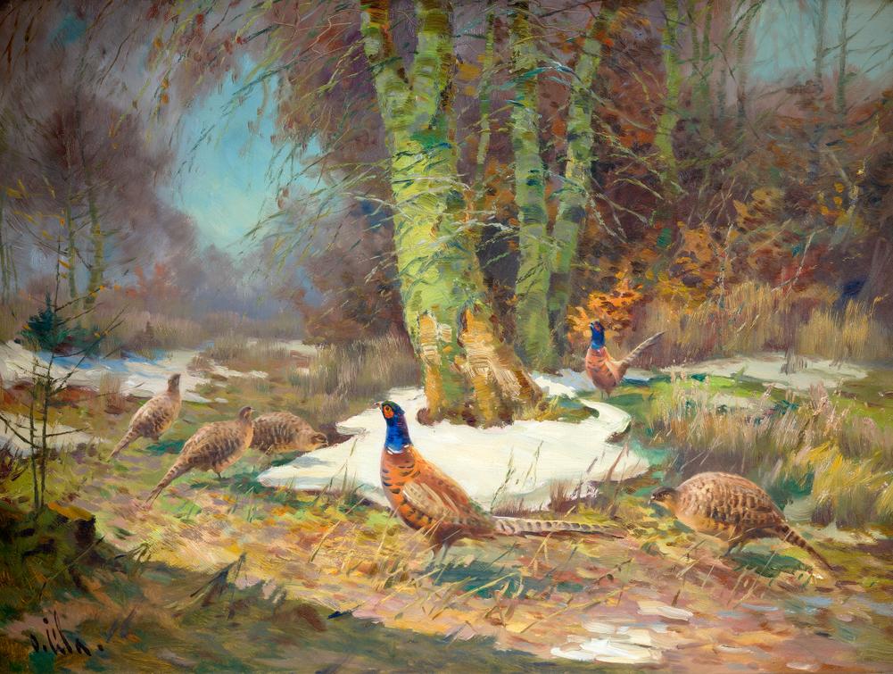 Otakar Číla - Bažanti