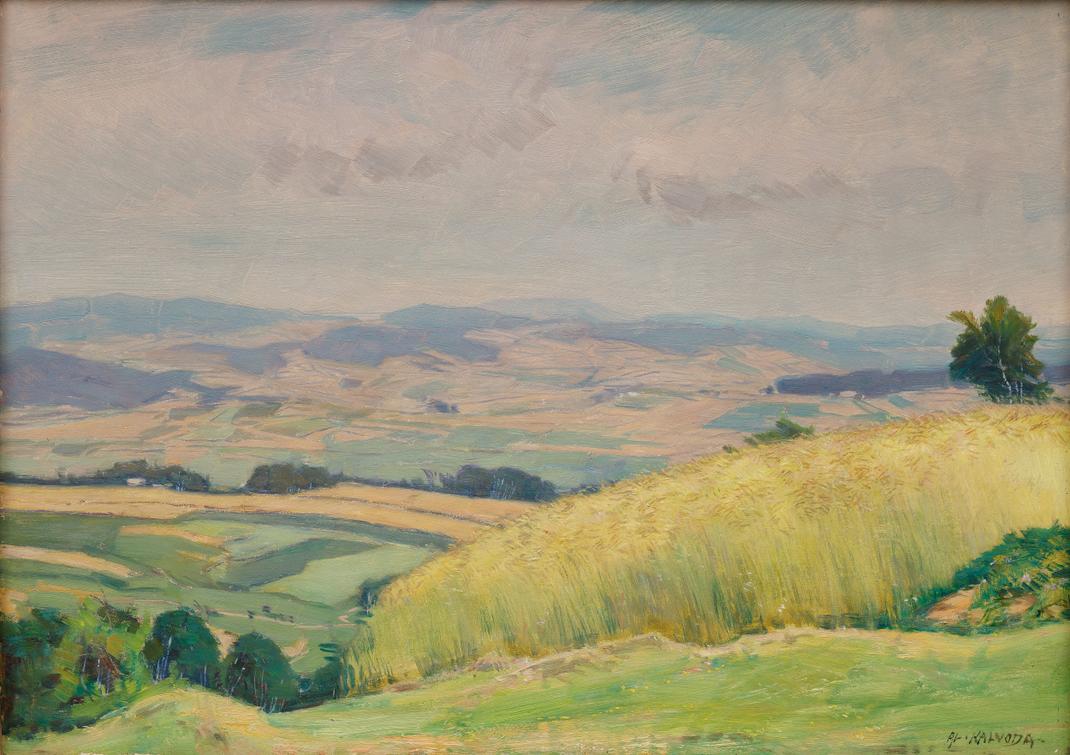 Alois Kalvoda - Pošumaví