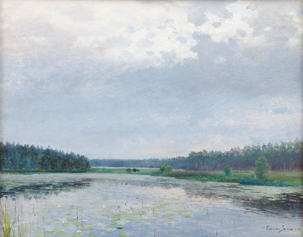 Václav Jansa - Water Lilies