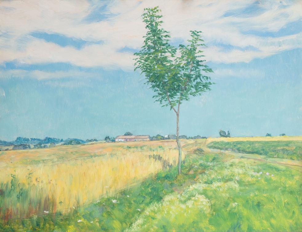 František Kaván - Letní odpoledne