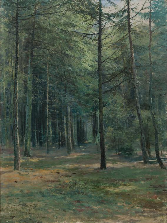 Antonín Slavíček - Prosluněný les
