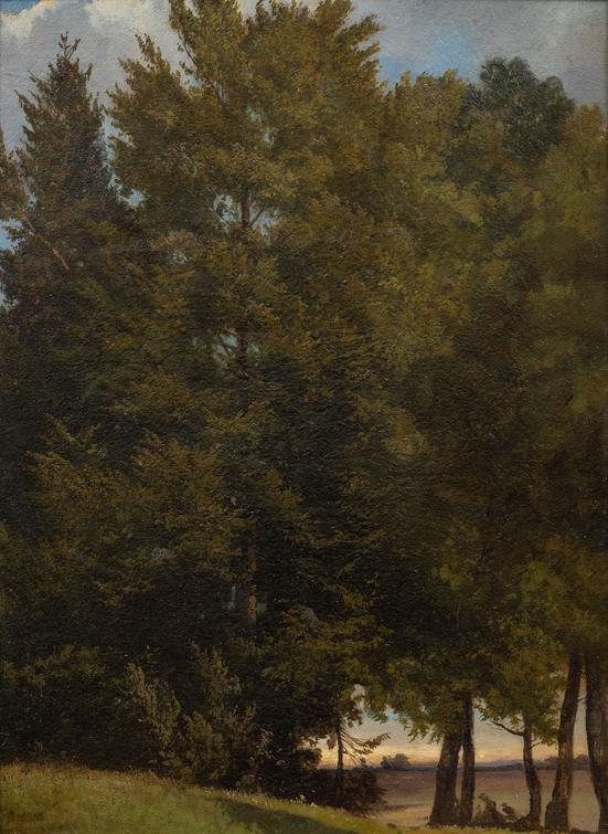 Maximilian Haushofer - At the Forest Edge