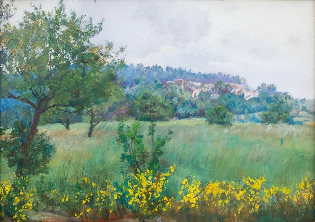 František Kaván - Letní louka