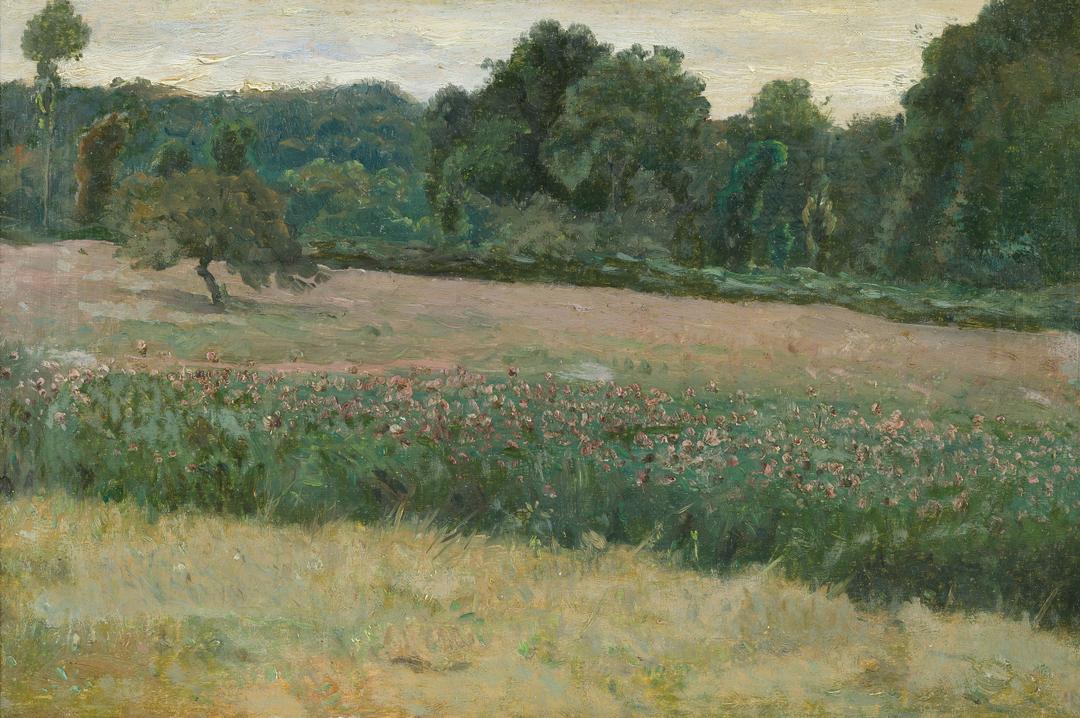 Václav Brožík - In a Meadow in Bloom
