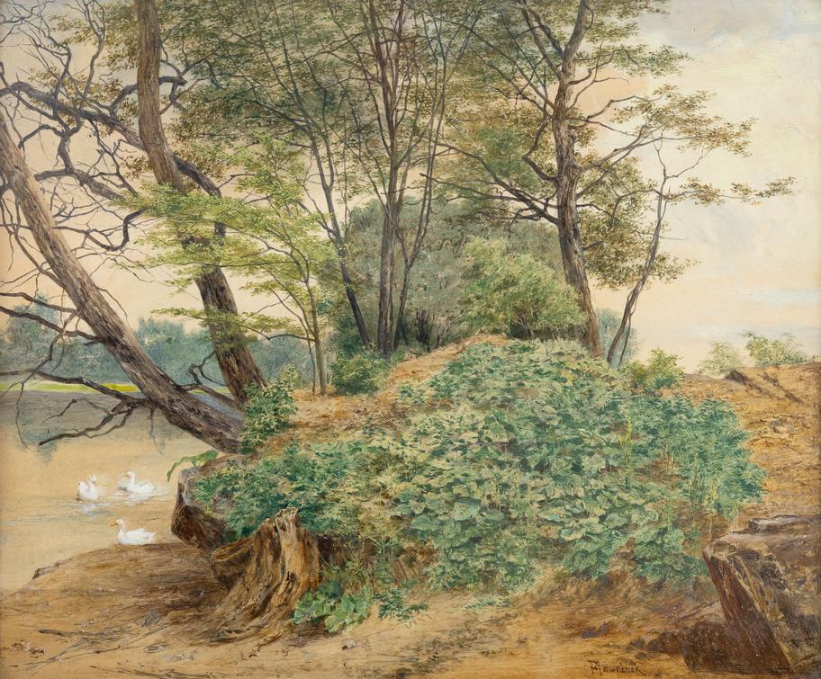 Bedřich Havránek - Husy na vodě