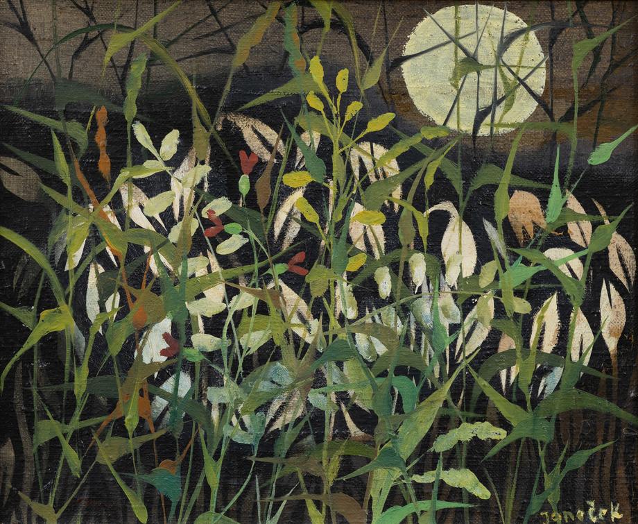 Ota Janeček - Night Grasses
