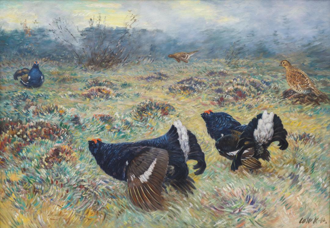 Stanislav Lolek - Grouse