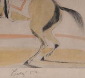 František Tichý - Krasojezdec - Photo 3