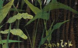 Ota Janeček - Night Grasses - Photo 3