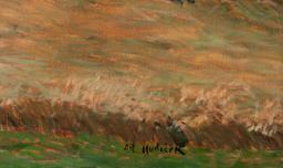 Antonín Hudeček - Z Podorlicka - Photo 3