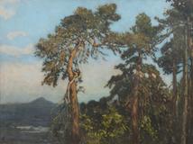 Jaroslav Panuška - Dnespeky - Photo 1