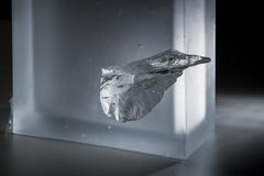 Milan Knížák - Tomorrow on Mars - Photo 3