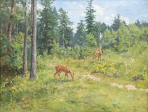 Vilém Trsek - Srnčí říje - Photo 1