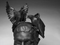 Martin Janecký - Birdman - Photo 3
