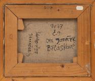 Ota Janeček - Běláskové - Photo 4