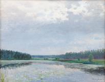 Václav Jansa - Water Lilies - Photo 1