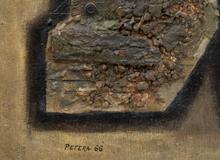 Miloš Petera - Země robotů - Photo 3