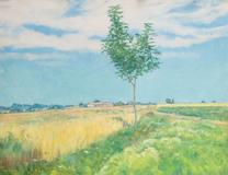 František Kaván - Letní odpoledne - Photo 1