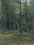 Antonín Slavíček - Prosluněný les - Photo 1