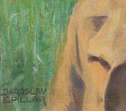 Jaroslav Špillar - Portrait of a Boy - Photo 3