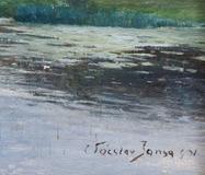 Václav Jansa - Water Lilies - Photo 3