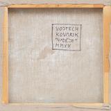 Vojtěch Kovařík - Hope - Photo 2