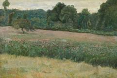 Václav Brožík - In a Meadow in Bloom - Photo 1