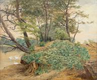 Bedřich Havránek - Husy na vodě - Photo 1