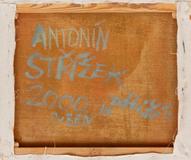 Antonín Střížek - Zátiší - Photo 3