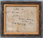 Josef Jíra - Moje ponny - Photo 4