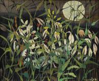 Ota Janeček - Night Grasses - Photo 1