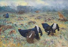 Stanislav Lolek - Grouse - Photo 1