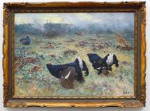 Stanislav Lolek - Grouse - Photo 2